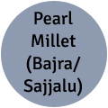 Pearl Millet (Bajra | Sajjalu)